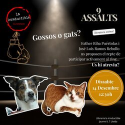 'Gossos o gats?' 9 assalts