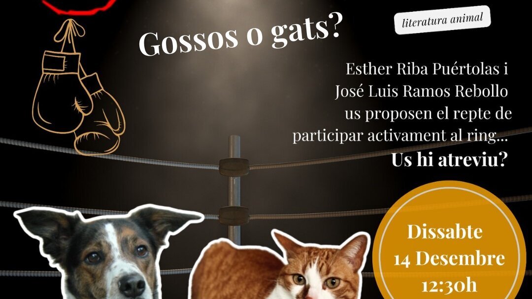 'Gossos o gats?' 9 assalts