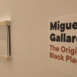 Exposició 'Miguel Gallardo. The Origin of the Black Plage'