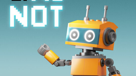 29a edició del cicle El Joc al Ninot