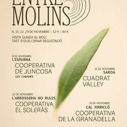 Entre molins. Cal Xirricló