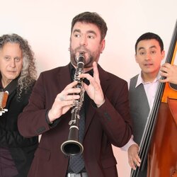 Cat Klezmer Trio