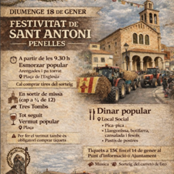 Festa de Sant Antoni