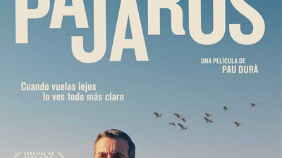 Projecció de 'Pájaros', dirigida per Pau Durà i protagonitzada per Luís Zahera i Javier Gutiérrez