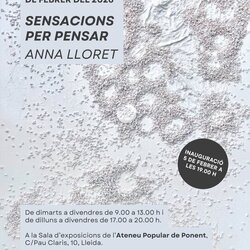 Exposició 'Sensacions per pensar'