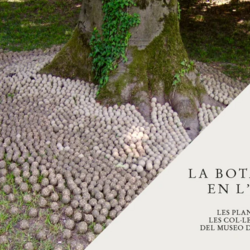Taller 'Instal·lació participativa' amb Lluís Sabadell