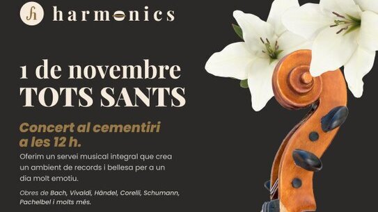 Concert per al repòs