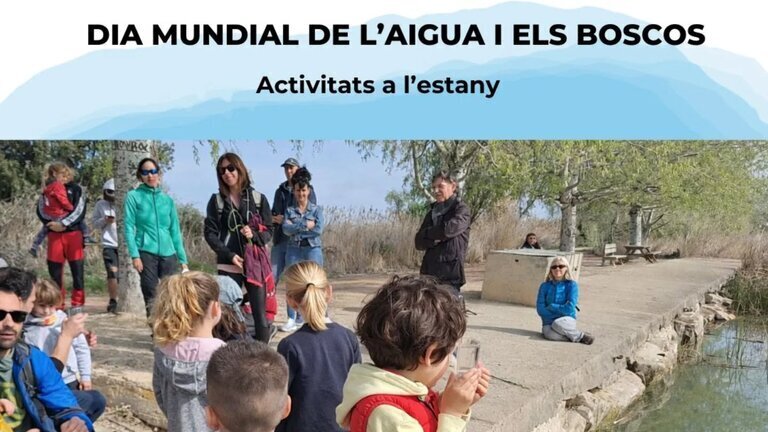 Dia Mundial de l'Aigua i els Boscos