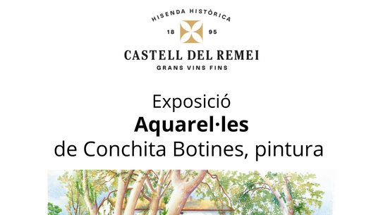Aquarel·les
