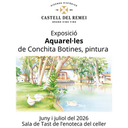 Aquarel·les