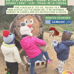 Anem a buscar e tió. Alpicat