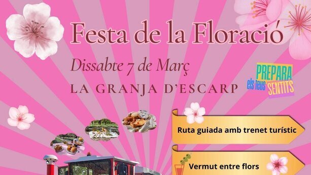 Festa de la Floració