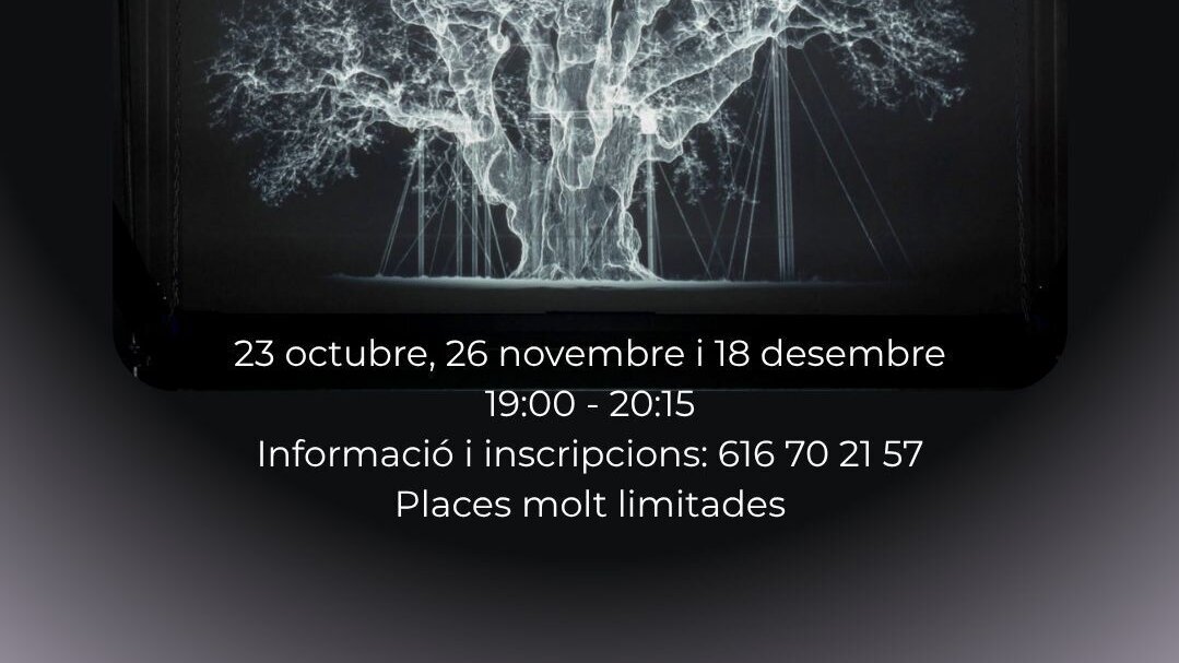 Meditació al Museu de Lleida.