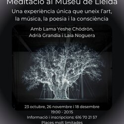 Meditació al Museu de Lleida.