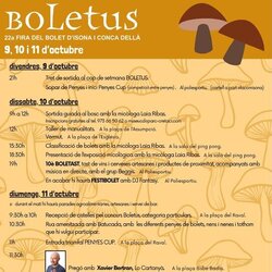 Boletus