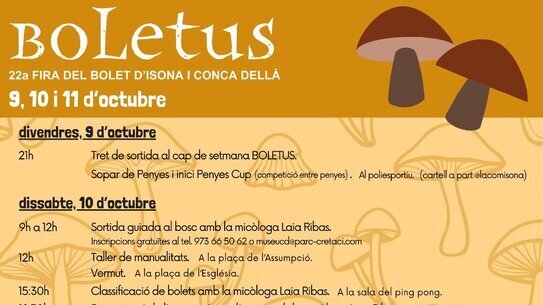 Boletus