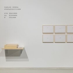 Exposició 'Juxtaposicions. Un joc de 576 pàgines, 12 figures i 9 colors'