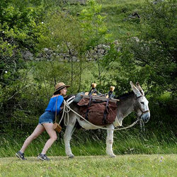 Nova edició del cicle Matinals de Cinema