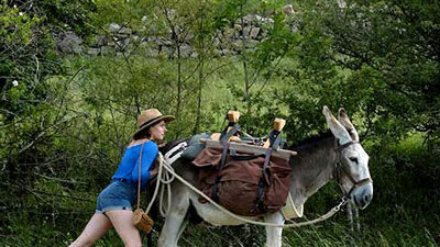 Nova edició del cicle Matinals de Cinema