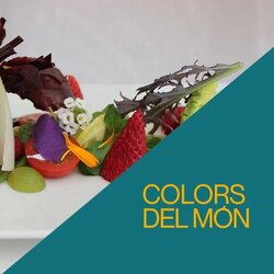 Mengem en colors