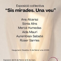 Sis mirades. Una veu