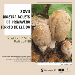 Mostra de bolets de primavera