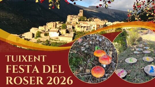 Festa del Roser