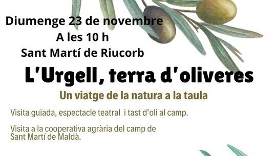 L'Urgell, terra d'oliveres.