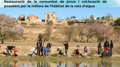 Dia Mundial de les Zones Humides a l'Estany d'Ivars i Vila-sana