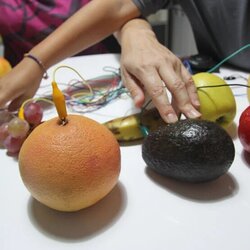 Taller 'Vegetals electromusicals'