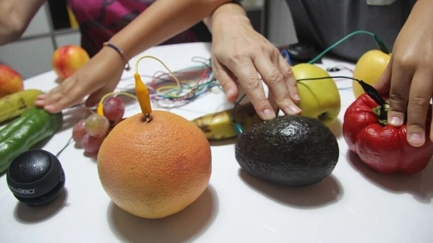 Taller 'Vegetals electromusicals'