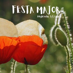 Festa Major d'Anglesola