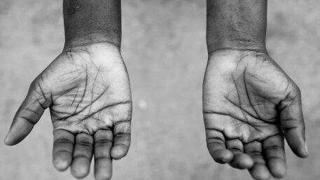 Exposició "Todo por la Praxis. Un jardí extraordinari"