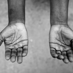 Exposició "Todo por la Praxis. Un jardí extraordinari"