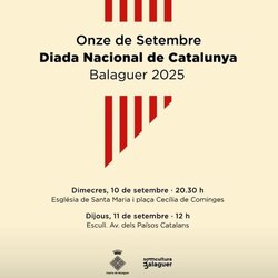 Diada a Balaguer