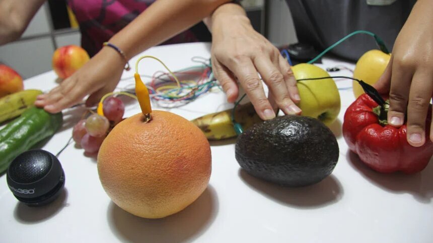 Taller de ciència 'Vegetals electromusicals'