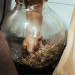 Taller de Ratafia a Tres Cadires