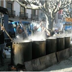 Festa de Sant Antoni Abat i calderada a la Seu d'Urgell