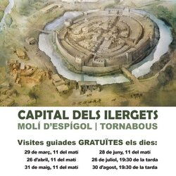 Visites guiades gratuïtes a la ciutat ibèrica del Molí d’Espígol