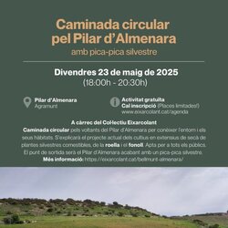 Caminada circular