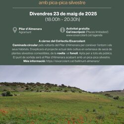 Caminada circular