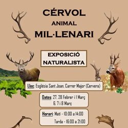 Cérvol, animal mil·lenari