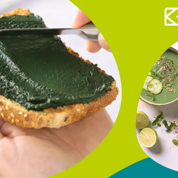 Taller 'L'espirulina'