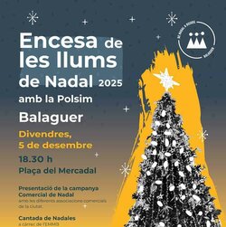 Encesa de les llums de Nadal