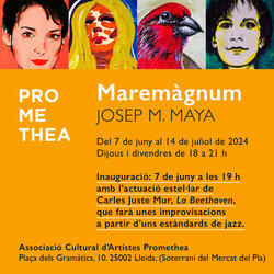 Exposició Maremagnum de Josep M. Maya
