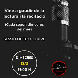 Sessió de micro-obert a la Irreductible