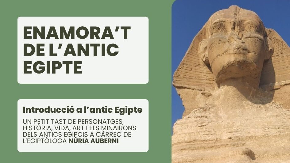 Tutankhamon, el rei nen