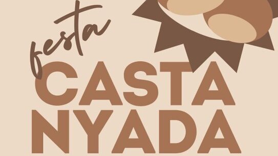 Festa de la Castanyada