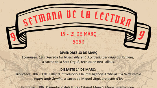 Un hivern diferent. Accidents per allau als Pirineus