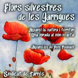 Flors silvestres de les Garrigues